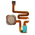 Finger Print Sensor